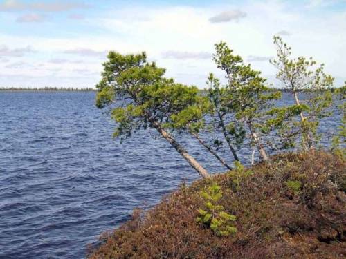 На берегу озера