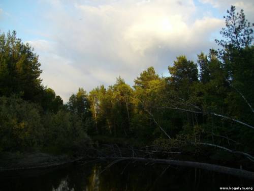 У реки Кирил-Высьягун