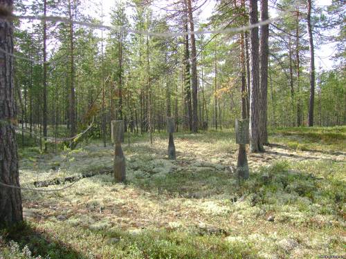 Старое стойбище 1