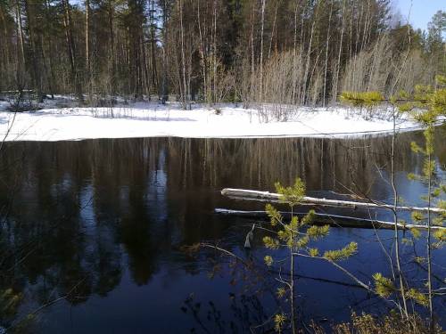 Заснеженный берег в мае