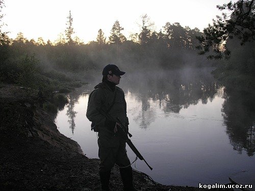 Утренний туман