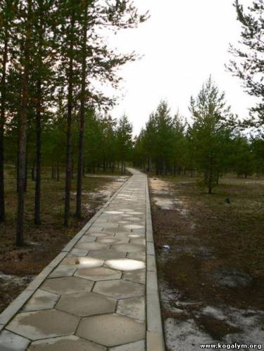 Дорога на пляж.