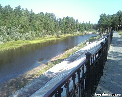 Фотография 4