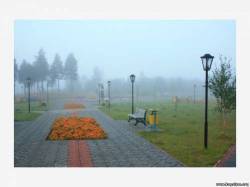 <b>СМОТРЕТЬ ФОТО