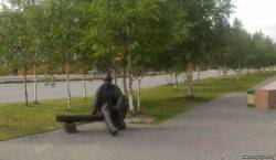 <b>СМОТРЕТЬ ФОТО