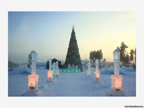 Ёлка 2010 днём 1 января.