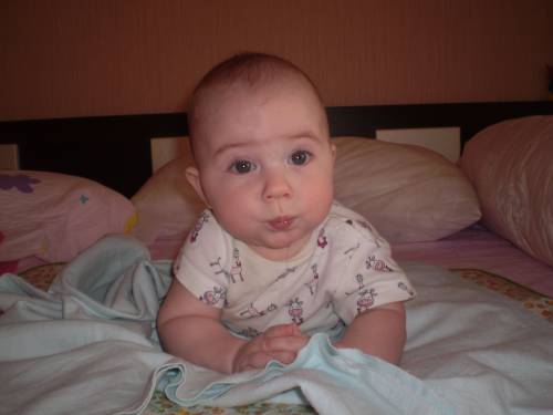 Фотография 1