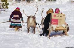 <b>СМОТРЕТЬ ФОТО