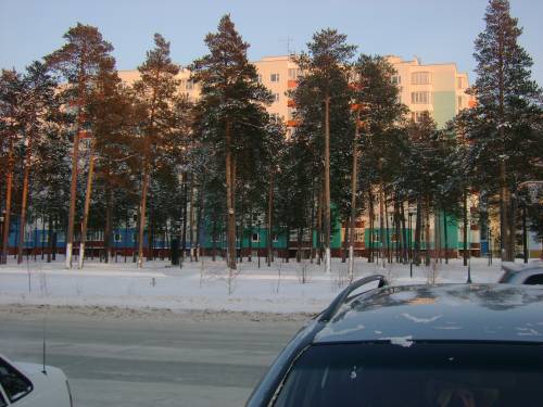 Сквер Шмидта зимой