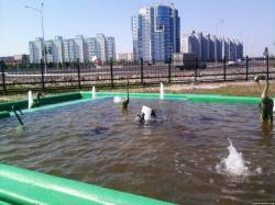 <b>СМОТРЕТЬ ФОТО