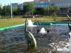 <b>СМОТРЕТЬ ФОТО