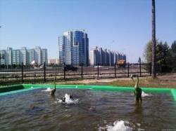 <b>СМОТРЕТЬ ФОТО