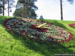 <b>СМОТРЕТЬ ФОТО