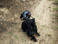  2024  - Администрация