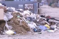  2024  - Общество