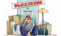  2024 выселение договор расторжение - Администрация
